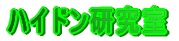 �n�C�h��������